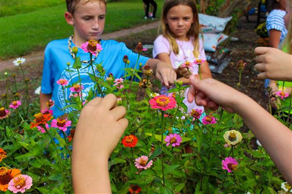 students in a flower garden with butterflies